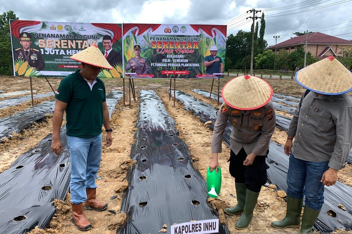 Dari Indragiri untuk seluruh negeri, PT TPP ikut tanam jagung serentak