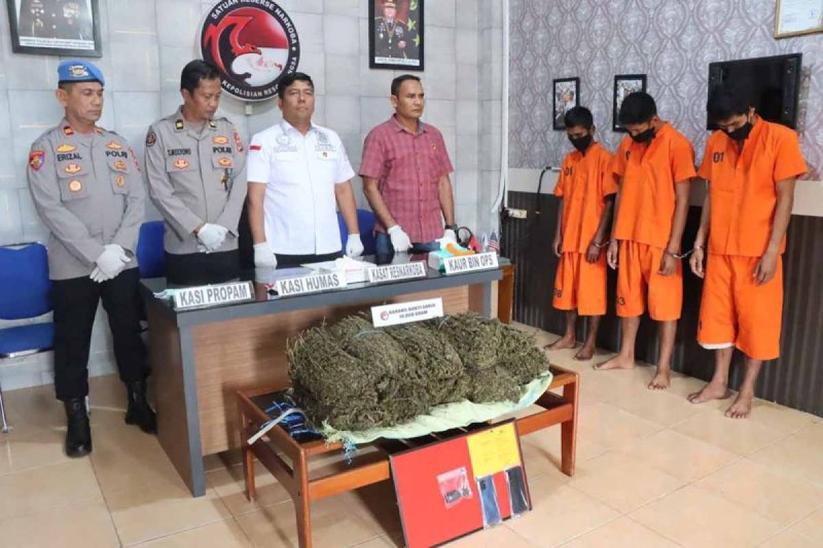 Polres Langsa tangkap tiga pengedar 10 kilogram ganja