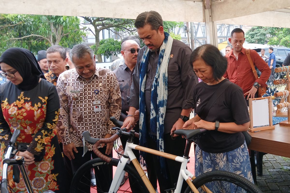 Menteri UMKM: Rumah kemasan mendorong pemkab untuk maju