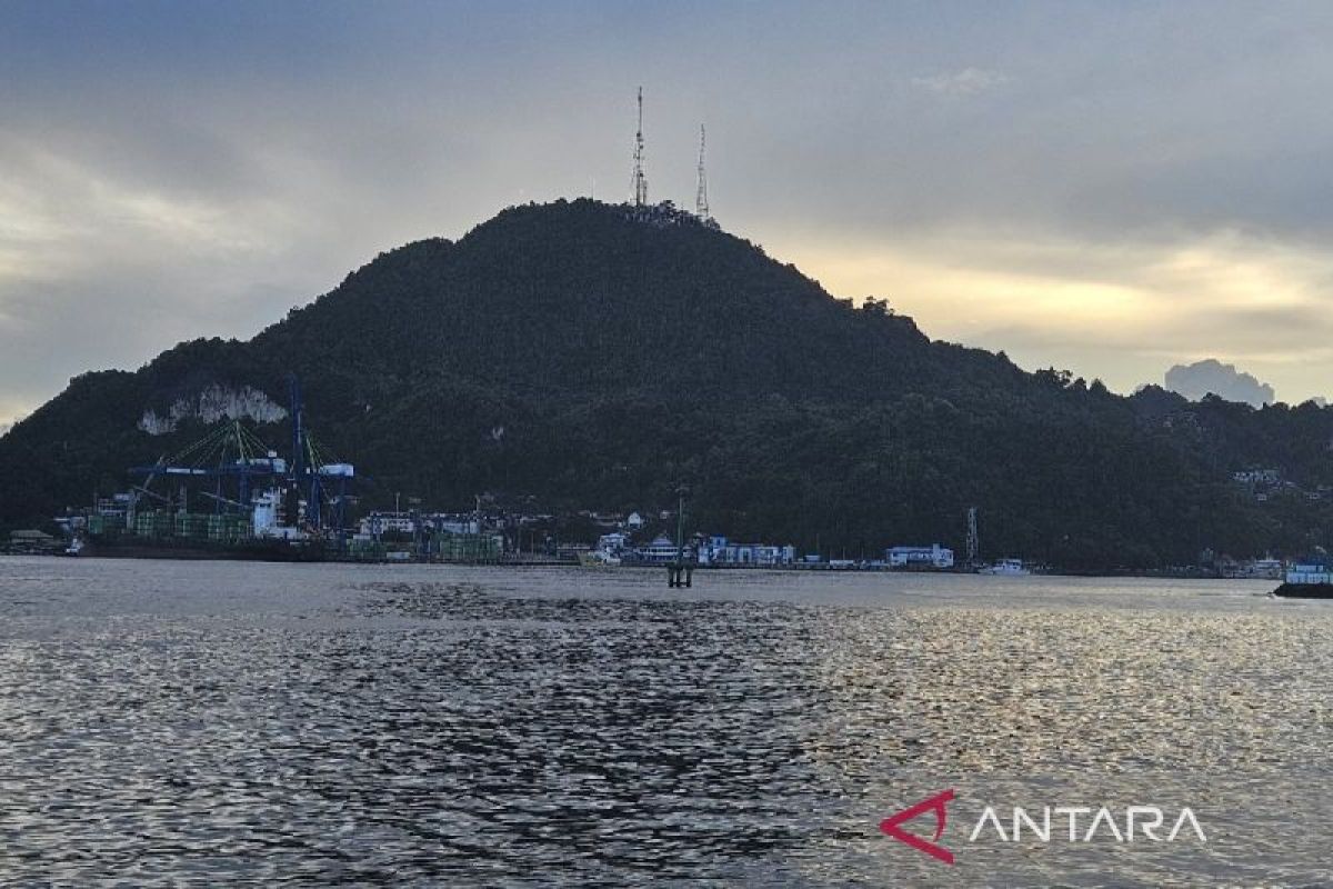 Pembangunan ekonomi Papua fokus pada tiga sektor pembangunan