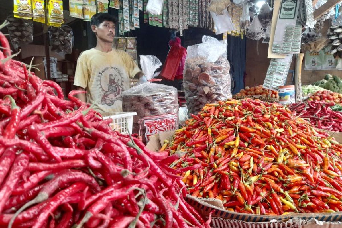 Cuaca jadi salah satu penyebab naiknya harga cabai di Kota Serang