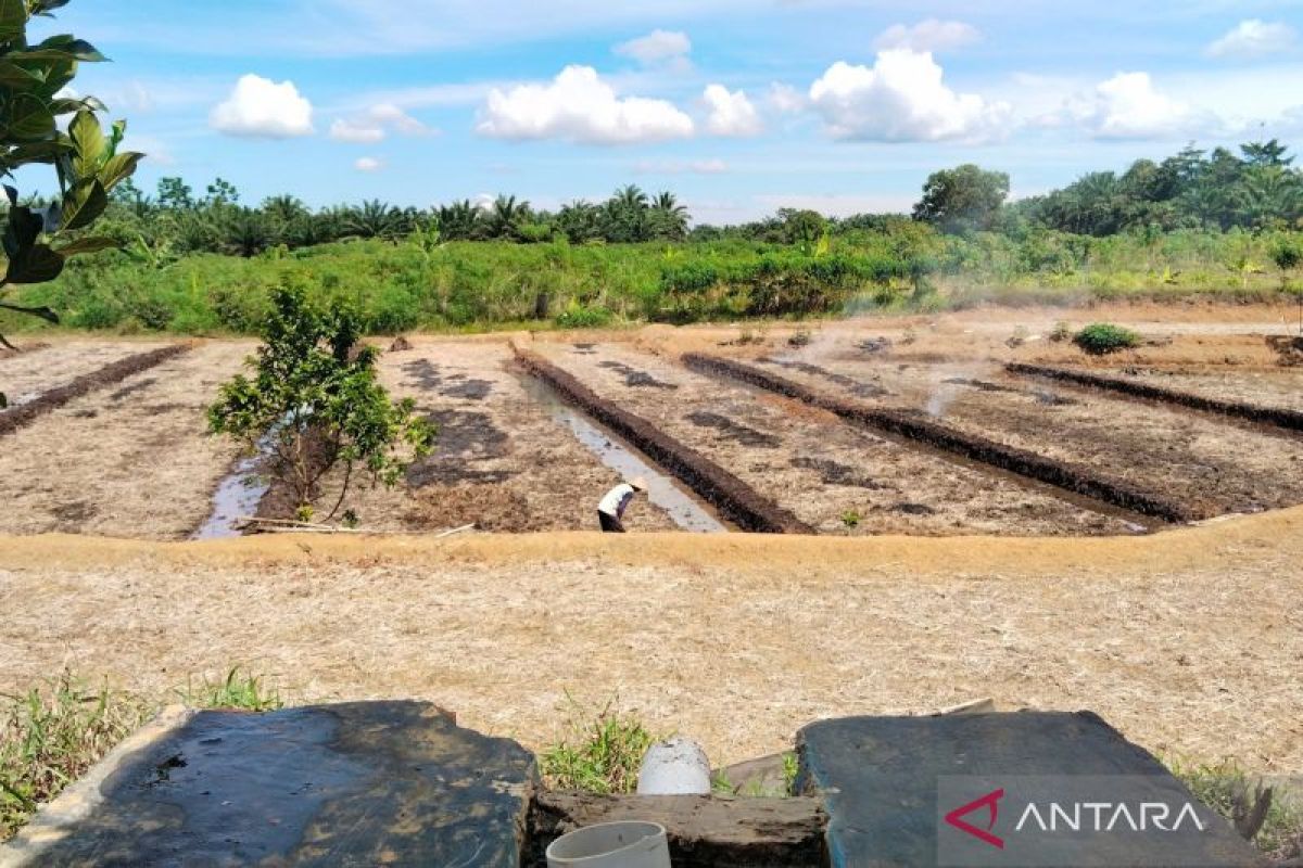 Mukomuko sosialisasikan program cetak sawah baru ke petani