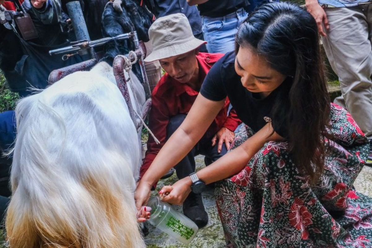 Wamenpar kunjungi dua desa wisata di Yogyakarta