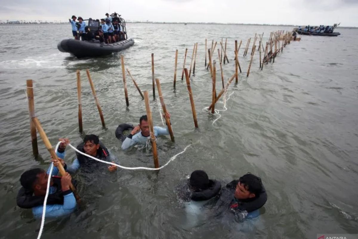 Pakar UGM tegaskan penyelesaian kasus pagar laut berfokus aspek hukum