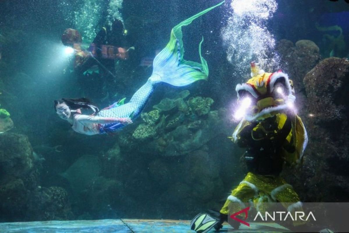 Selain SeaWorld, ini tempat wisata akuarium yang menarik dikunjungi