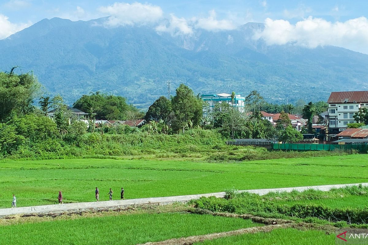 PGA catat 14 kali letusan Gunung Marapi di awal 2025