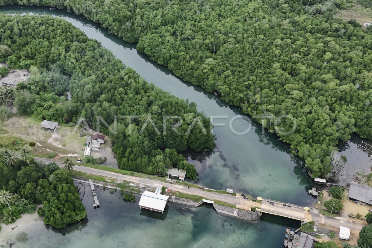 Desa-desa di Bintan kembangkan usaha, mulai pariwisata hingga pertanian