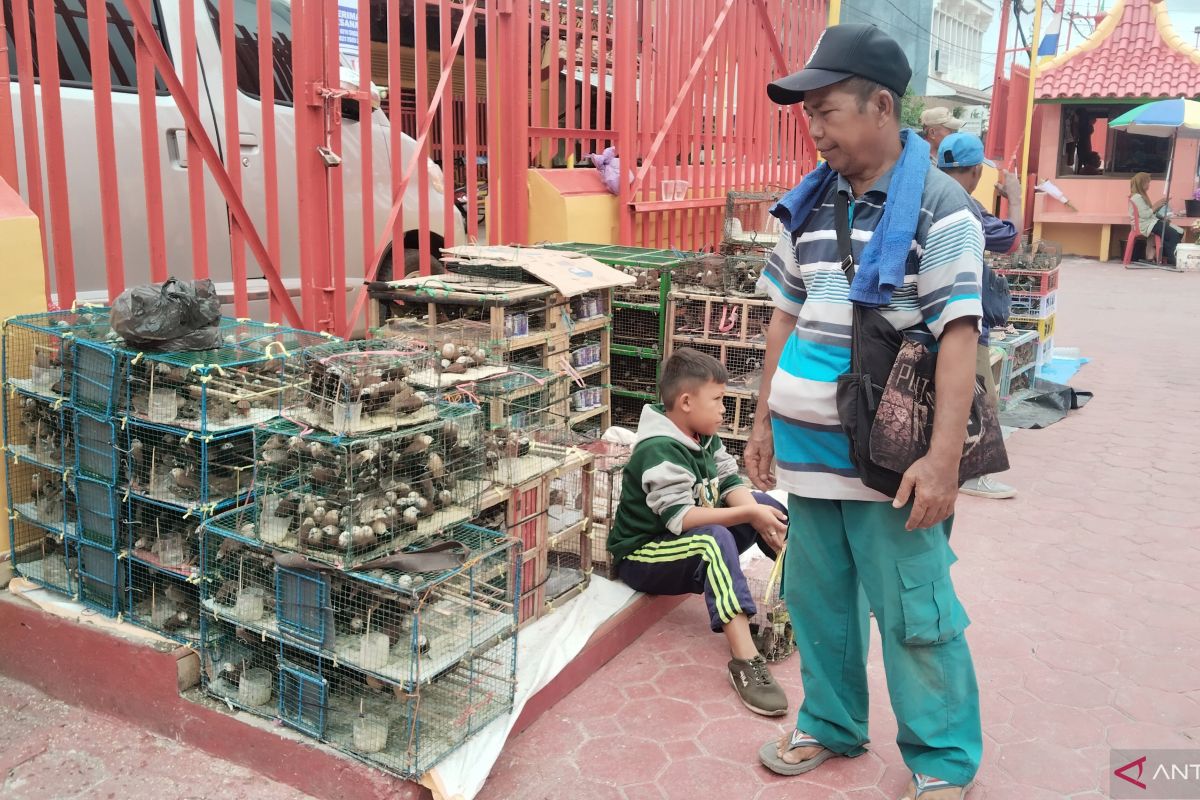 Pedagang burung pipit raih omset puluhan juta saat Imlek