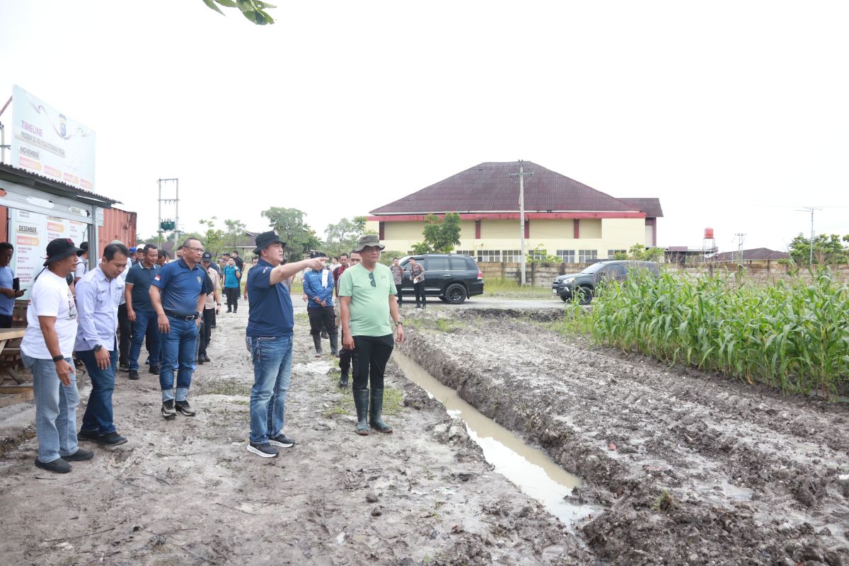 Kapolda Riau tinjau dua lahan ketahanan pangan di Kampar