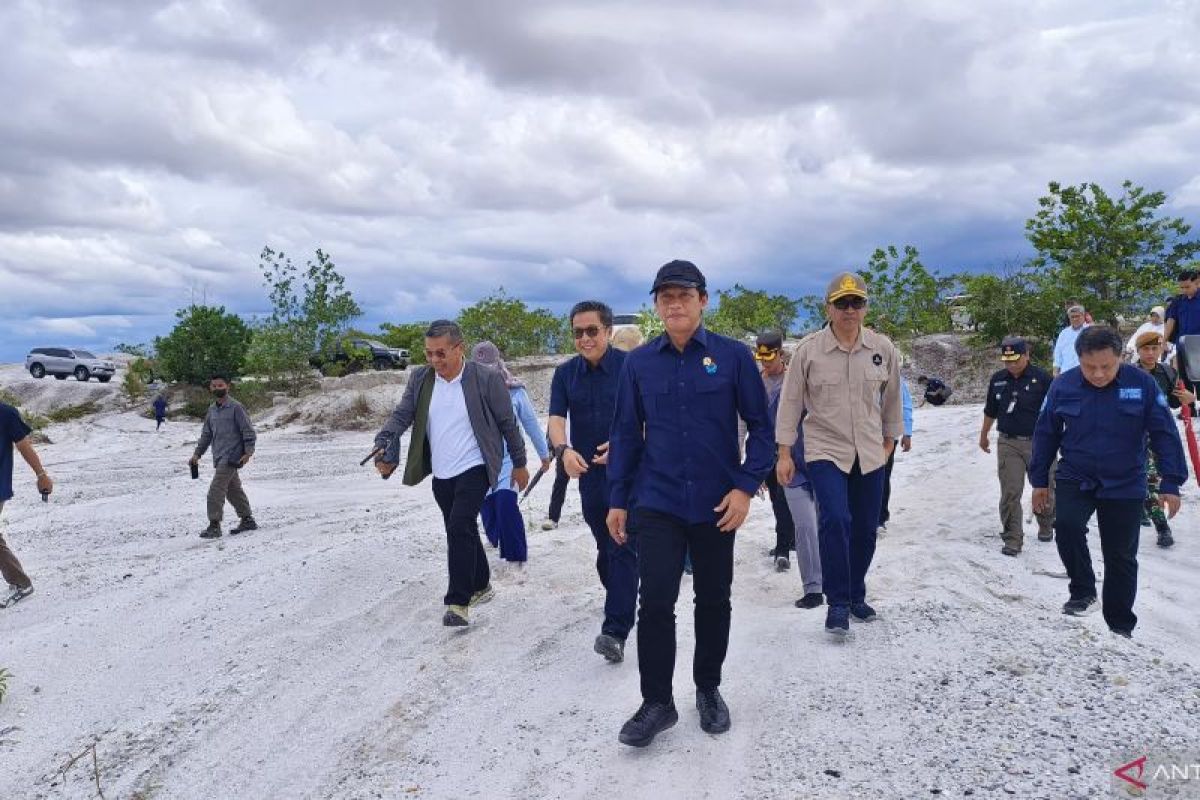 Menteri LH selidiki 41 ribu hektare lahan rusak di Katingan-Kalteng