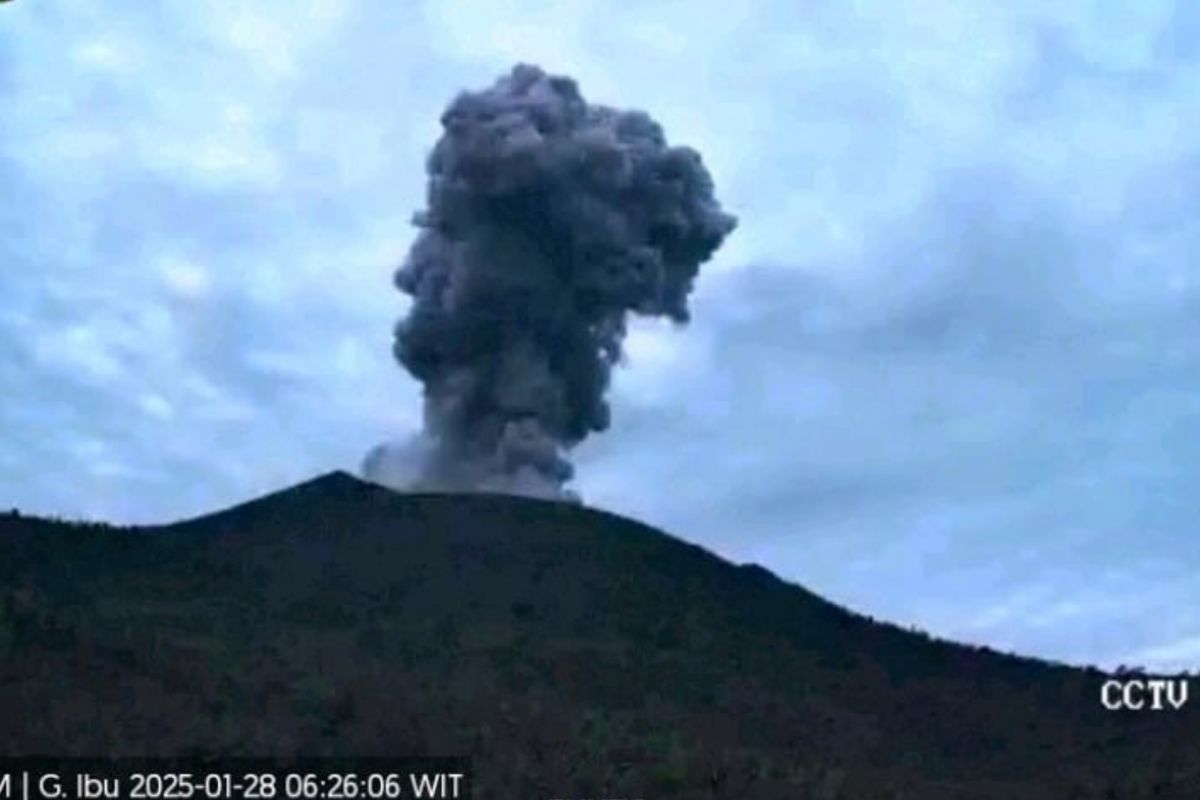 Gunung Ibu kembali erupsi setinggi 300 meter