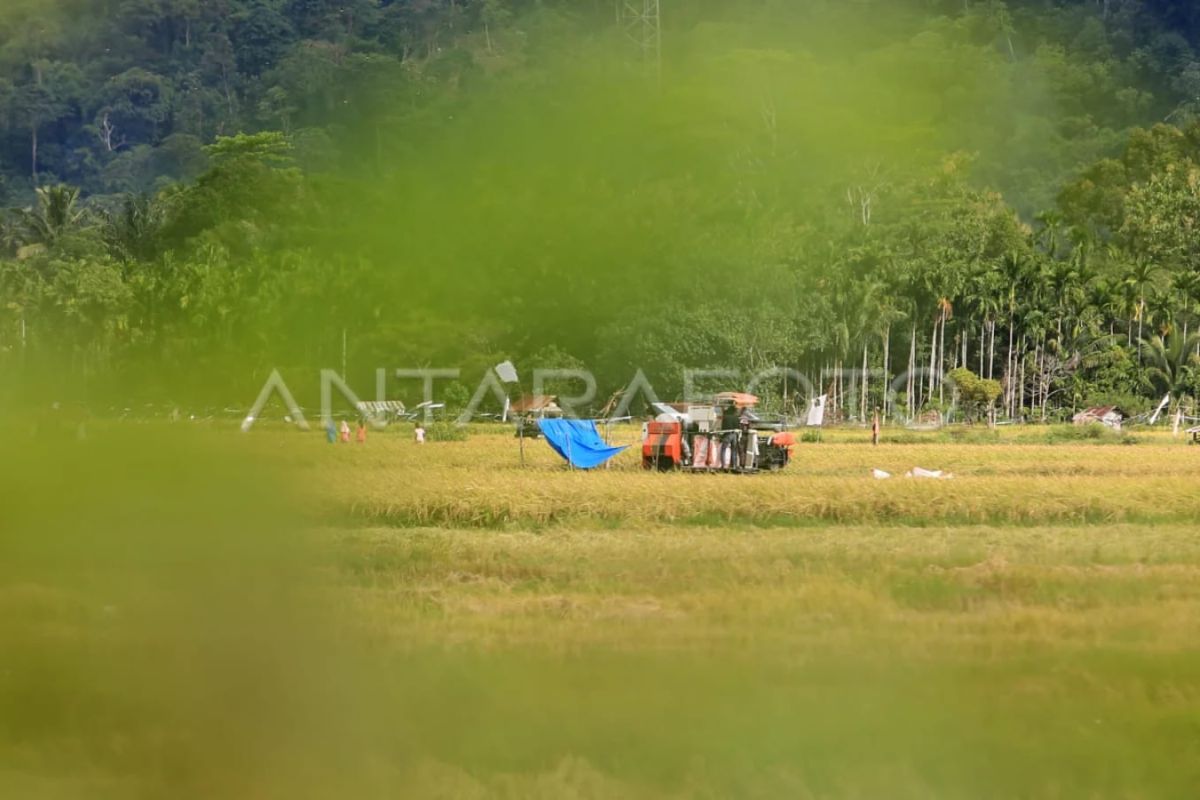 Kementan mengoptimalkan lahan bekas tsunami Aceh untuk persawahan