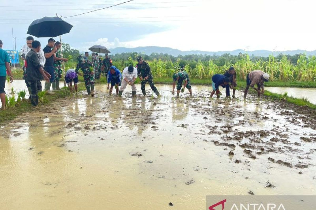 BI NTT-TNI kolaborasi dukung swasembada pangan di  perbatasan