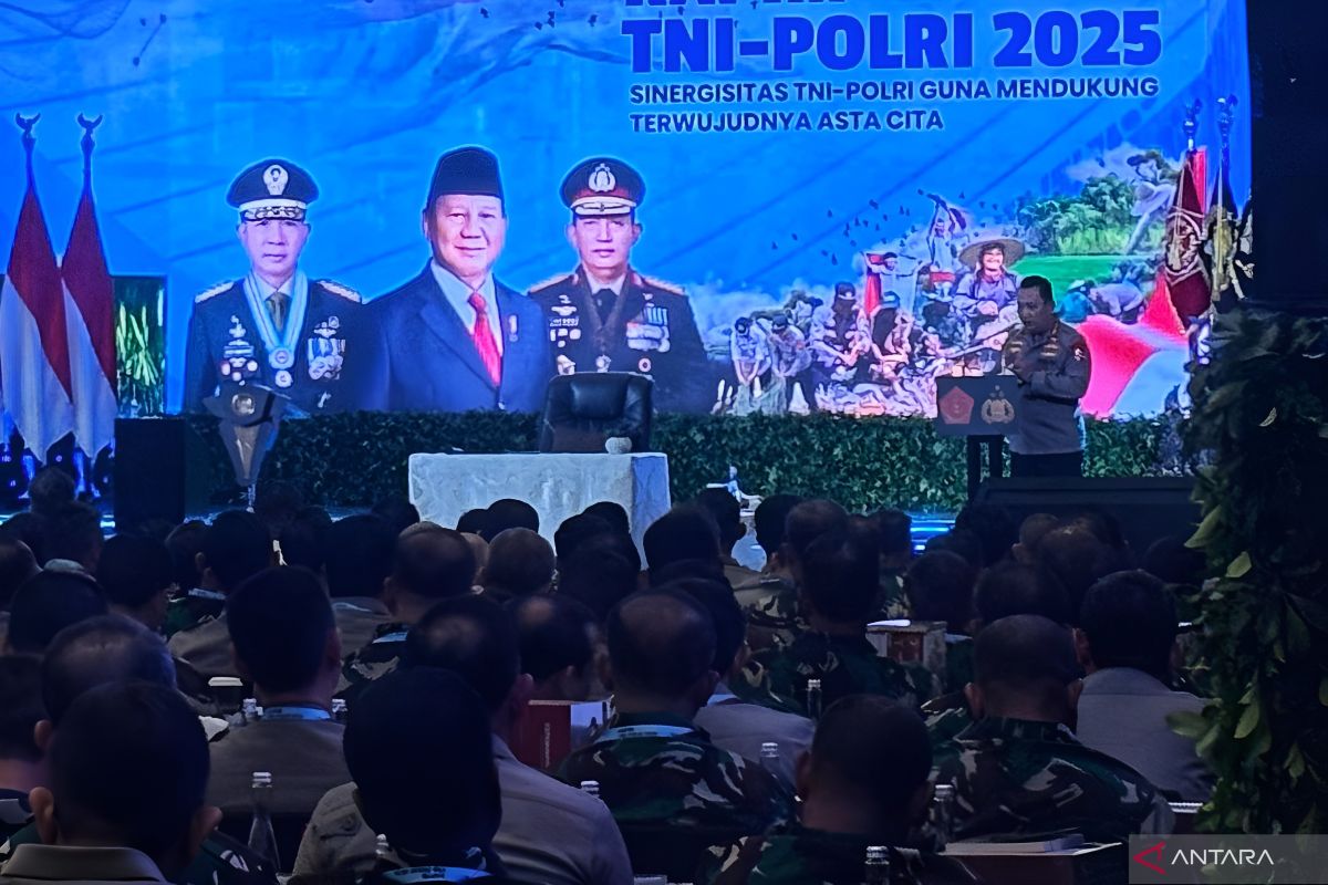 Police chief highlights TNI-Polri successes in 2024 to President