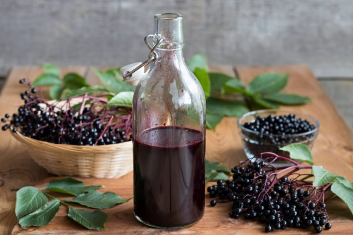 Ternyata satu porsi jus elderberry bisa bantu turunkan berat badan