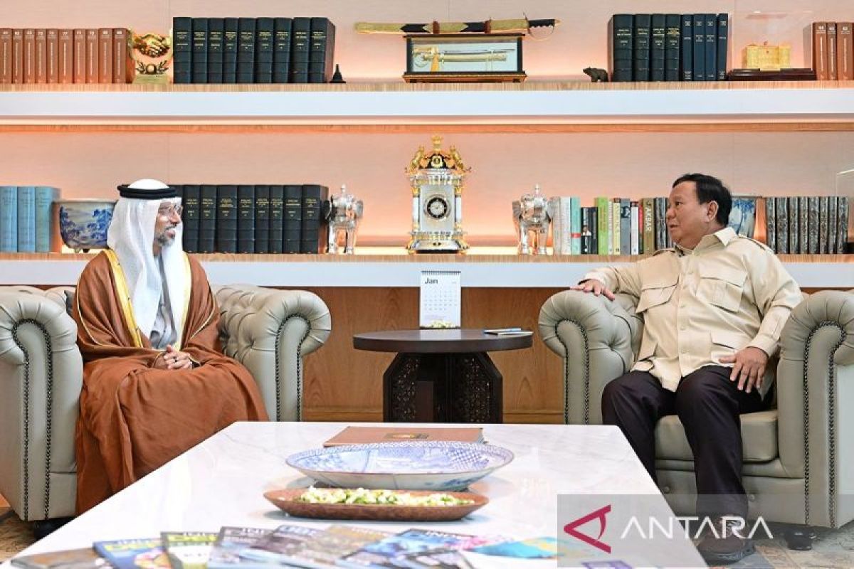 Prabowo terima Menteri UEA tindak lanjuti kerja sama energi-perumahan