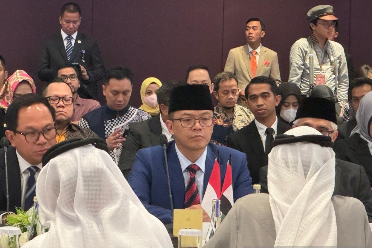 FM Sugiono highlights commitment to strengthen Indonesia-UAE ties