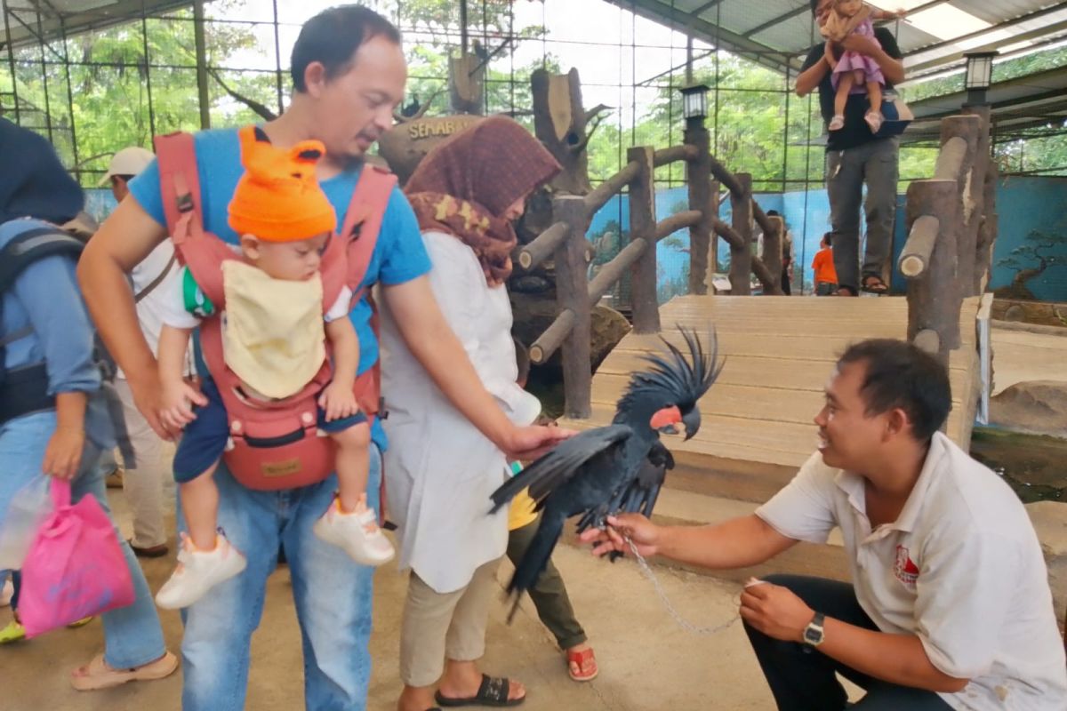 Semarang Zoo dikunjungi 5.411 wisatawan selama libur panjang