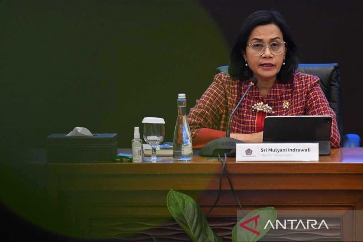 Menkeu Sri Mulyani bertemu Menteri Energi UEA bahas kerja sama ekonomi