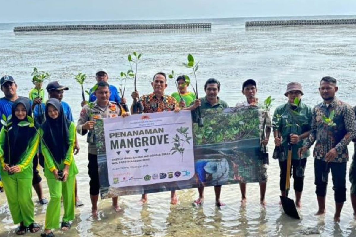 Pemuda Kepulauan Seribu tanam mangrove dukung program nol emisi karbon