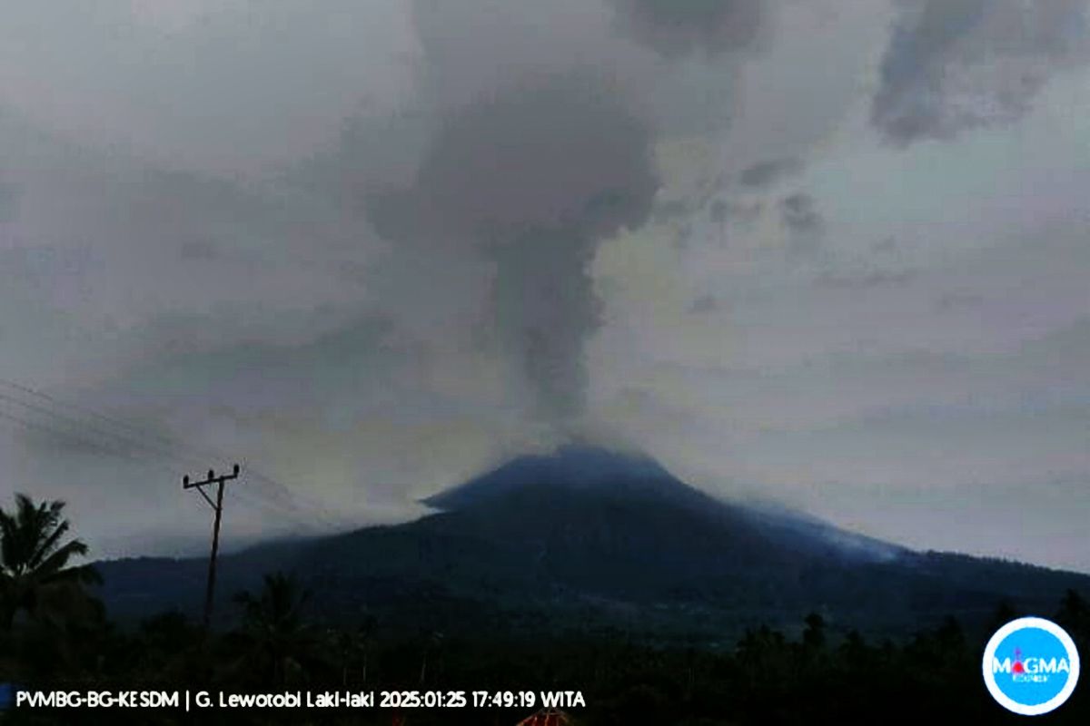 Status Gunung Lewotobi naik Level Awas setelah 987 gempa