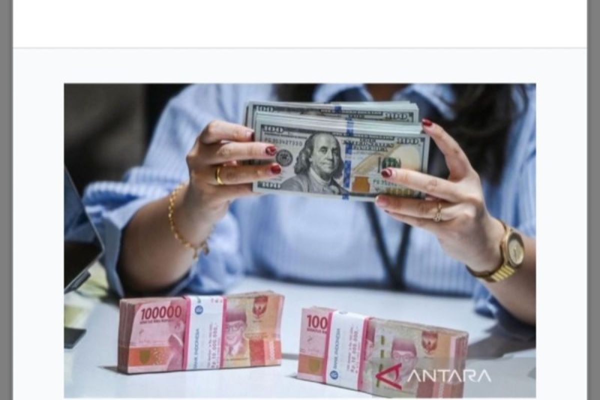 Data kurs rupiah Rp8.170 di Google diduga serangan peretas