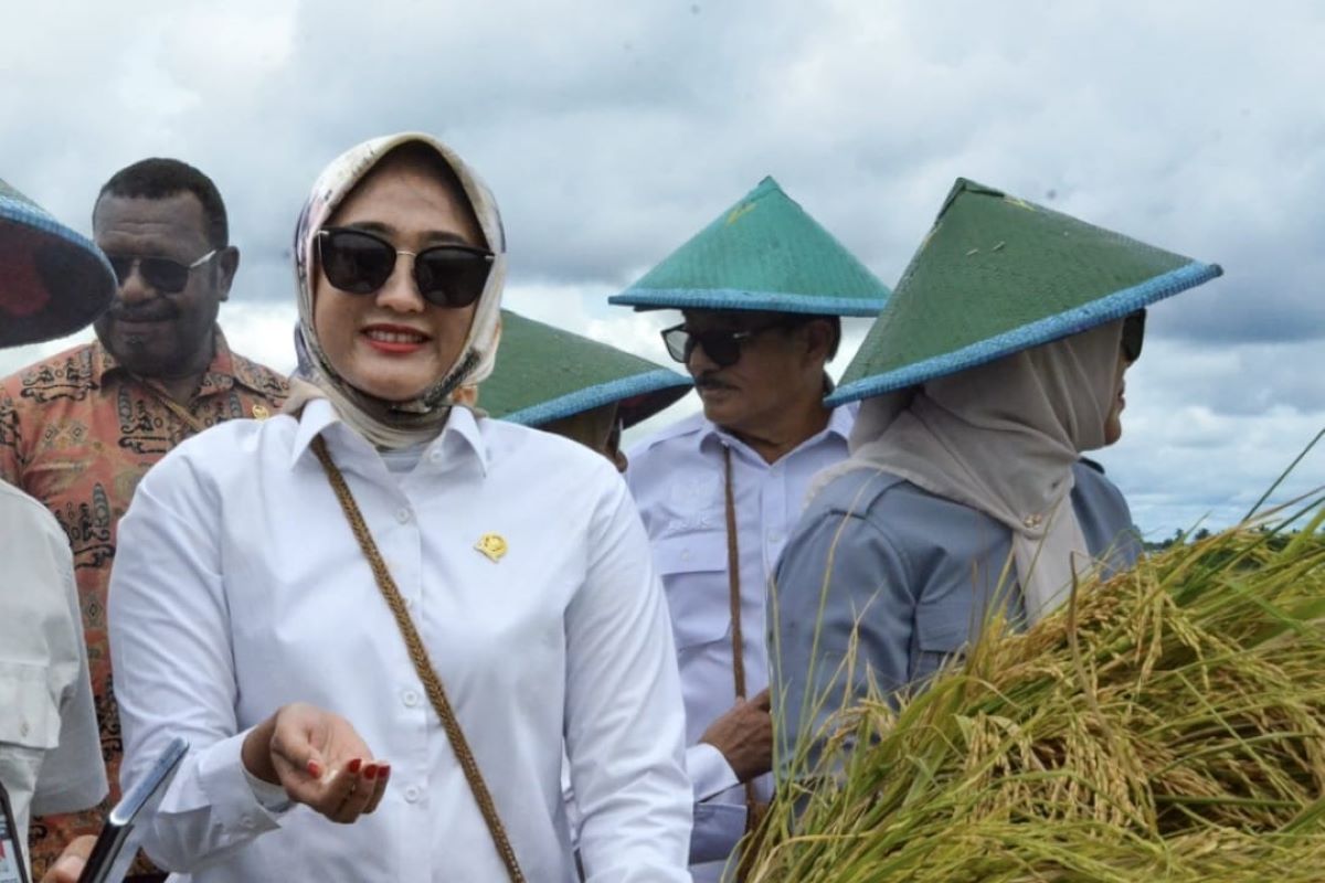 Anggota DPR: Dapur Program MBG perlu menggandeng UMKM sebagai pemasok