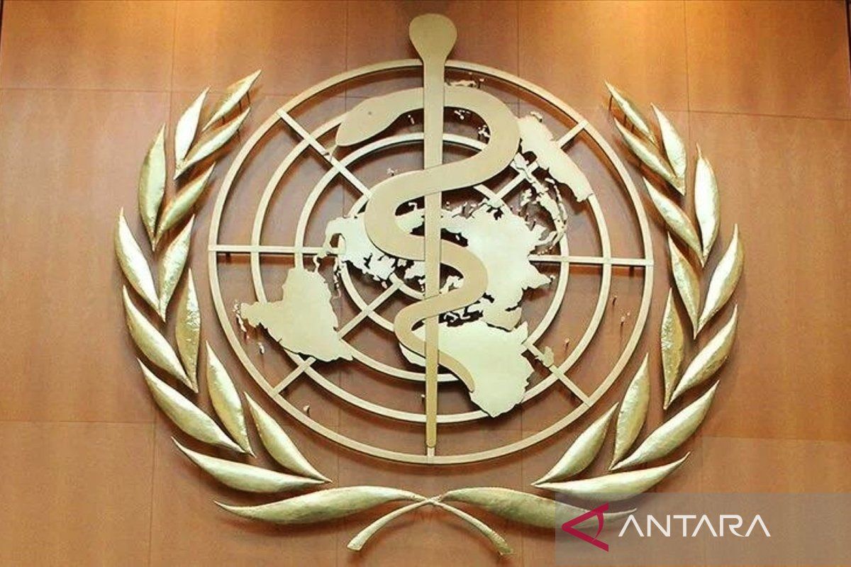 WHO sebut 14 ribu warga Palestina butuh perawatan khusus di luar Gaza