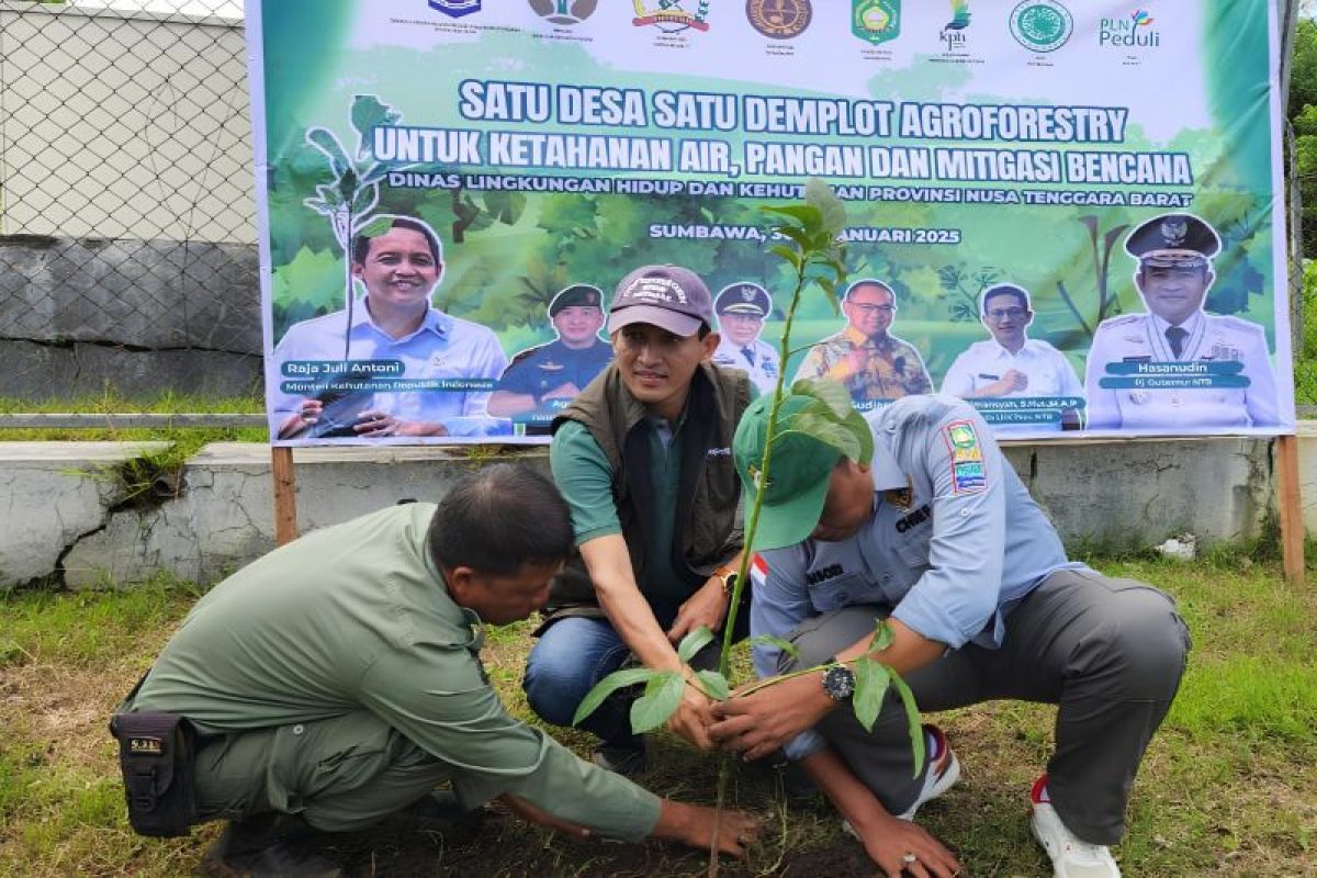 NTB mulai Gerakan Satu Desa Satu Demplot Agroferestri di Sumbawa