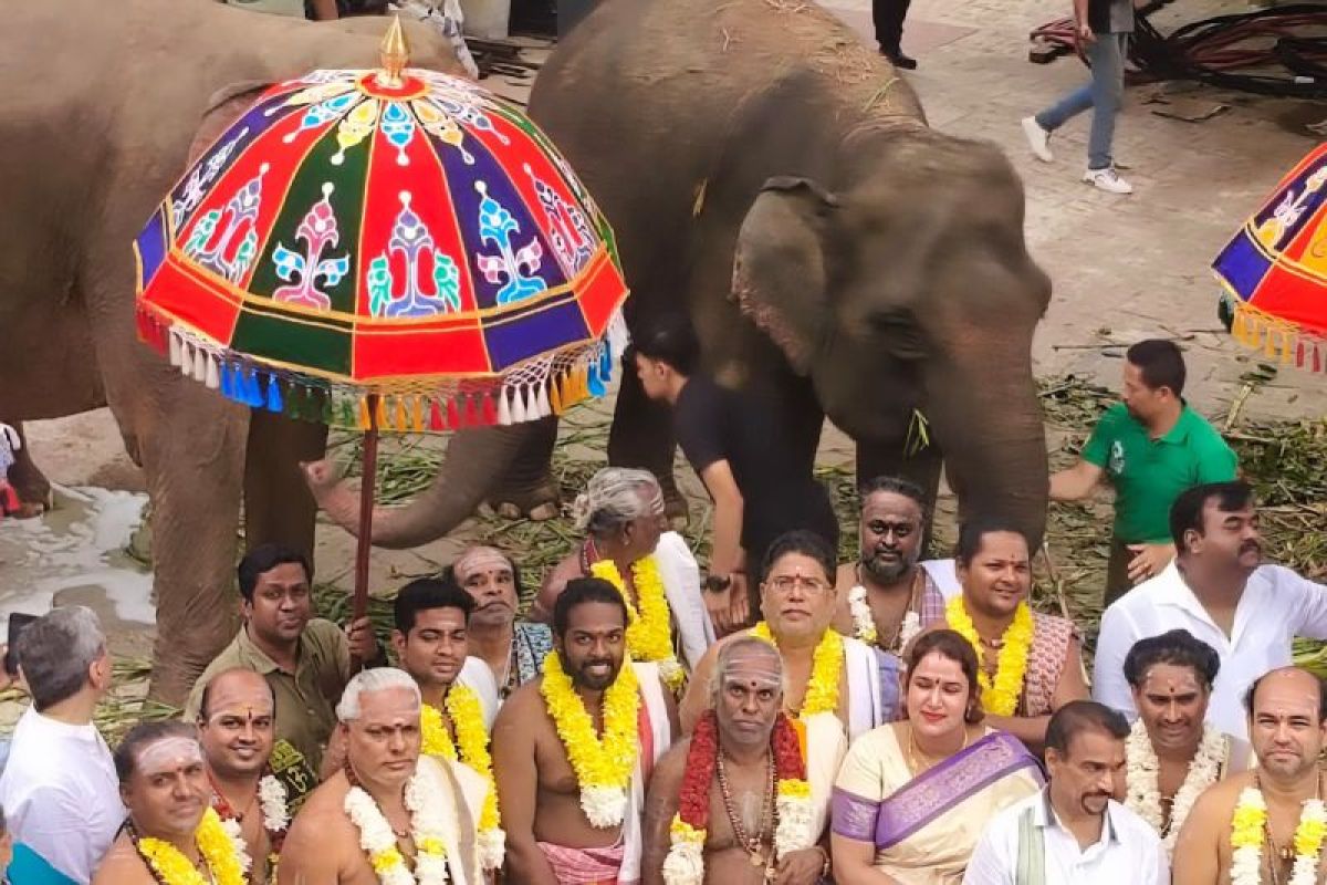 Menhut bantu siapkan gajah pada peresmian rumah ibadah Hindu terbesar di Indonesia