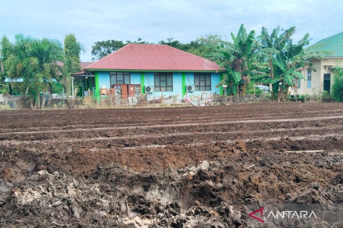 Pemkab Mukomuko siap penuhi permintaan Kementan tanam padi gogo
