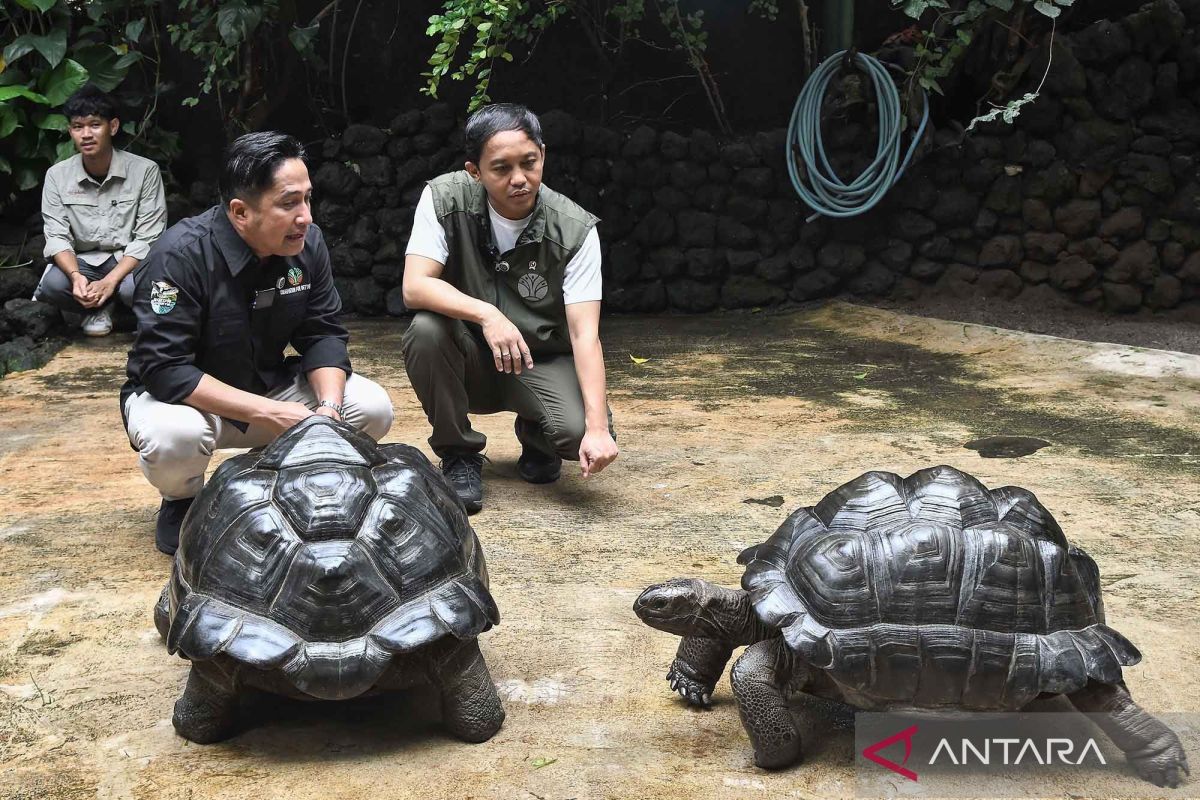 Melihat pelestarian satwa di deHakims Aviary