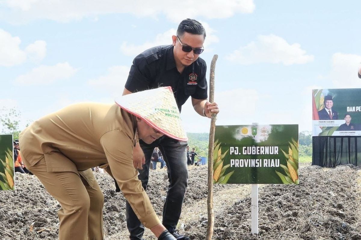 Pemprov Rau dorong peningkatan produksi beras lokal