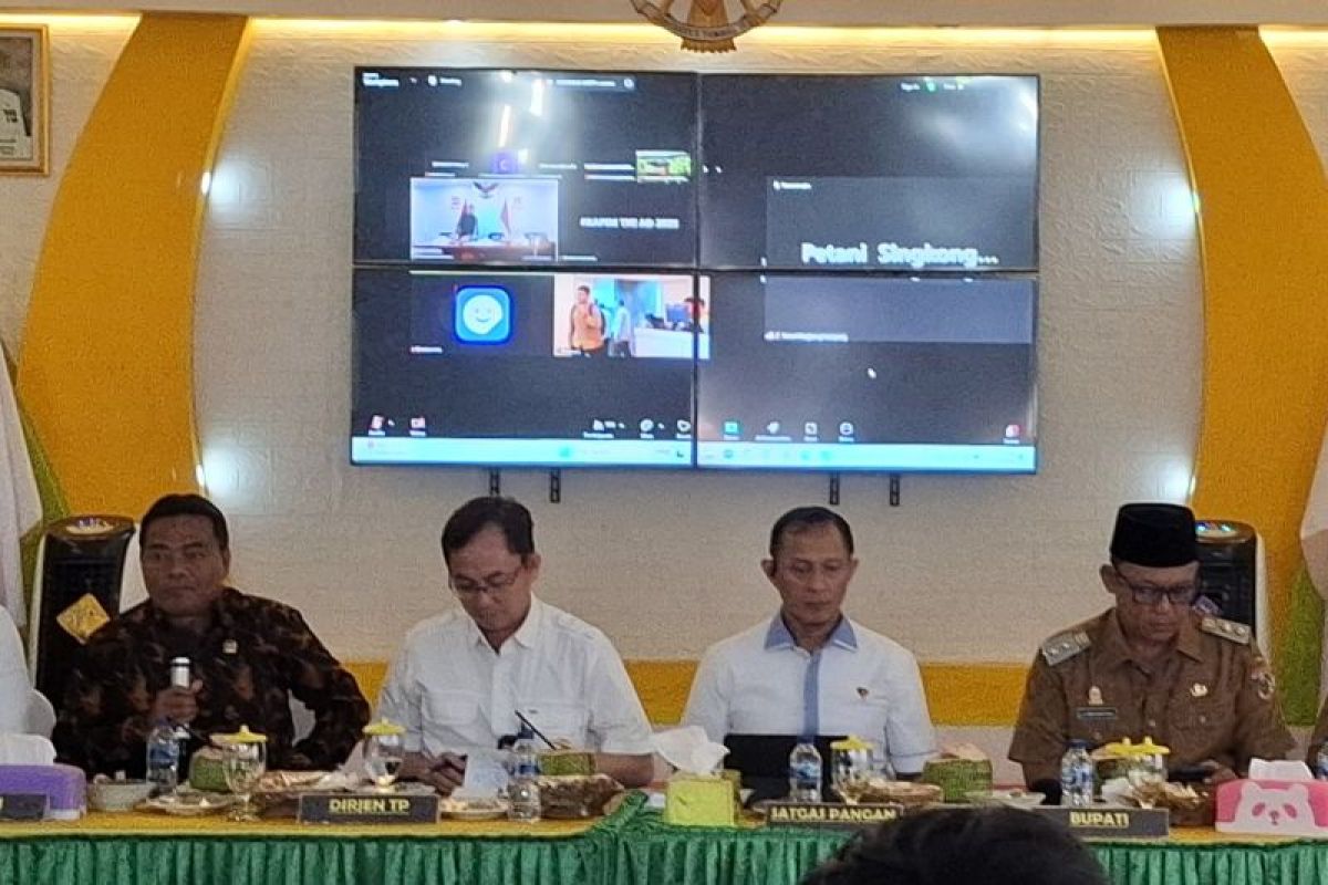 Ketua Satgas Pangan: Rafaksi ubi kayu harus miliki kriteria dan detail