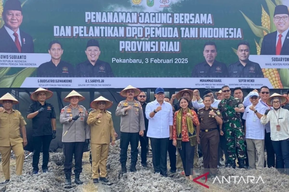 Wamentan-Polda Riau tanam jagung pada lahan sawit sedang peremajaan