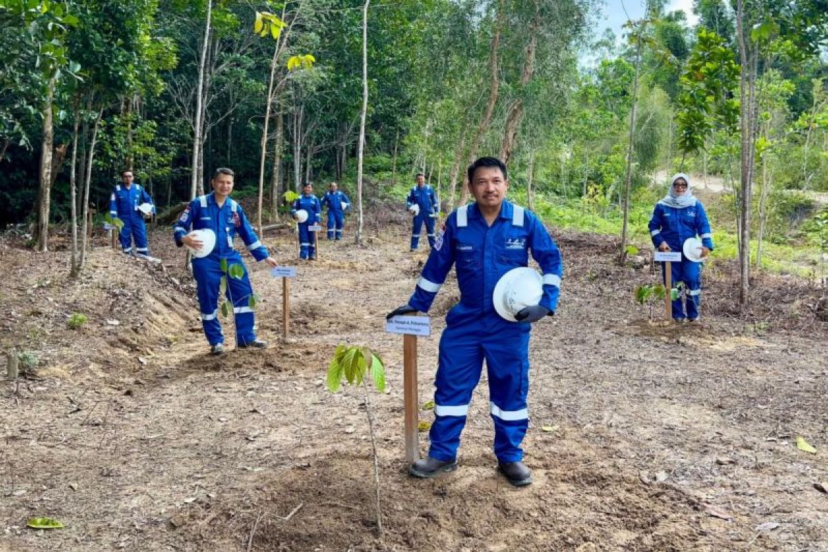 Manajemen JOB Simenggaris Lakukan Penanaman Pohon di Hutan Konservasi Arboretum South Sembakung Kaltara