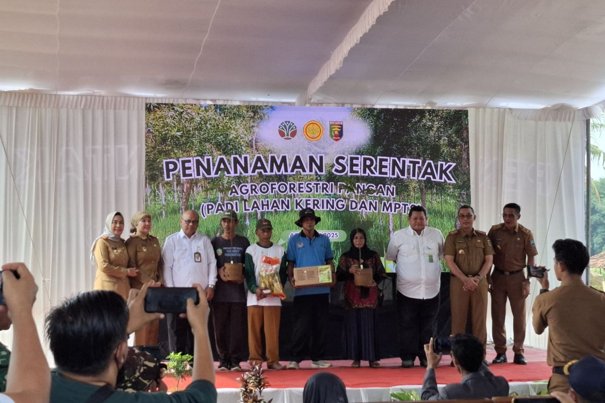 Kementan beri bantuan benih 40 kg per hektare petani hutan Lampung