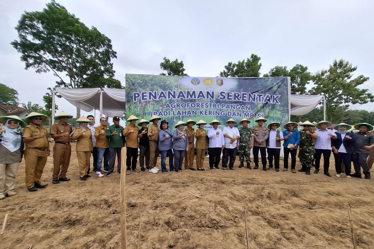 Lampung mulai tanam serentak pangan di lahan perhutanan sosial 10 ha