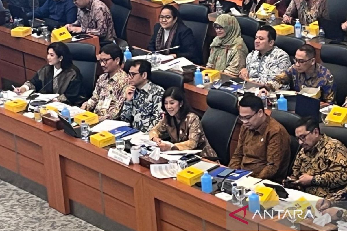 Kemkomdigi usulkan efisiensi pagu anggaran 2025 sebesar 58 persen