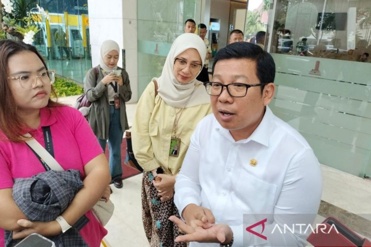 Bapanas: Penugasan daging kerbau masuk neraca komoditas 2025