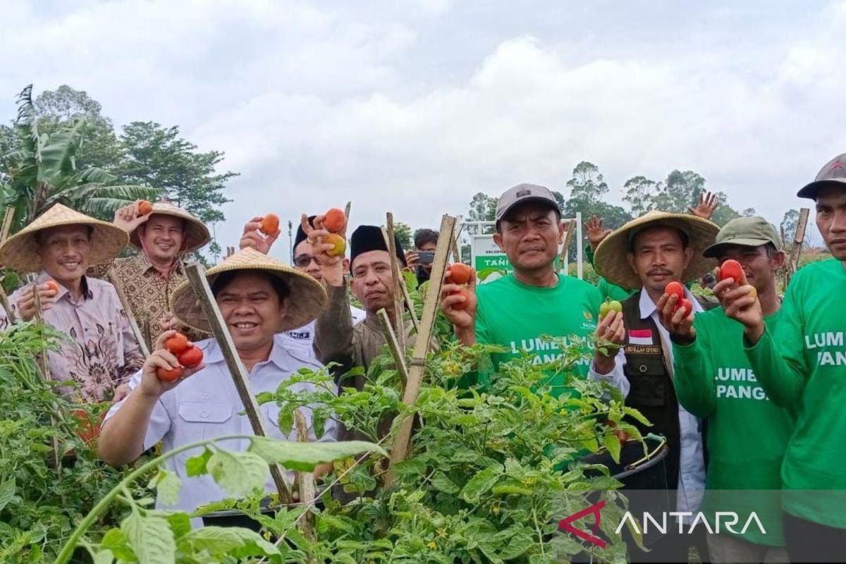 Baznas dorong kemandirian ekonomi di Garut lewat kelompok tani binaan