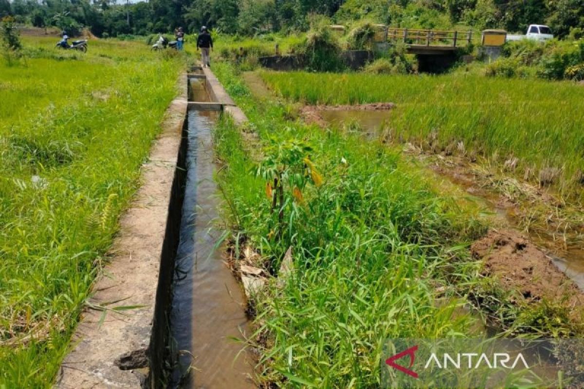 Pemkab Rejang Lebong anggarkan Rp300 juta untuk perbaikan irigasi