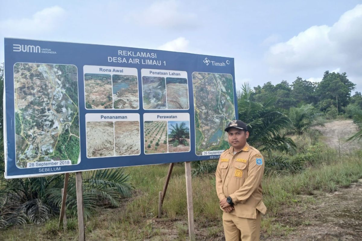 PT Timah - Pemdes Air Limau sulap bekas tambang jadi perkebunan sawit