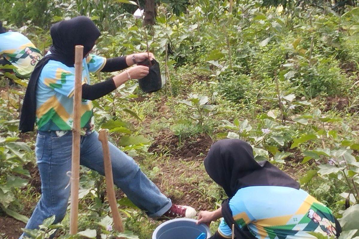 Generasi milenial makin getol ikut aksi tanam pohon