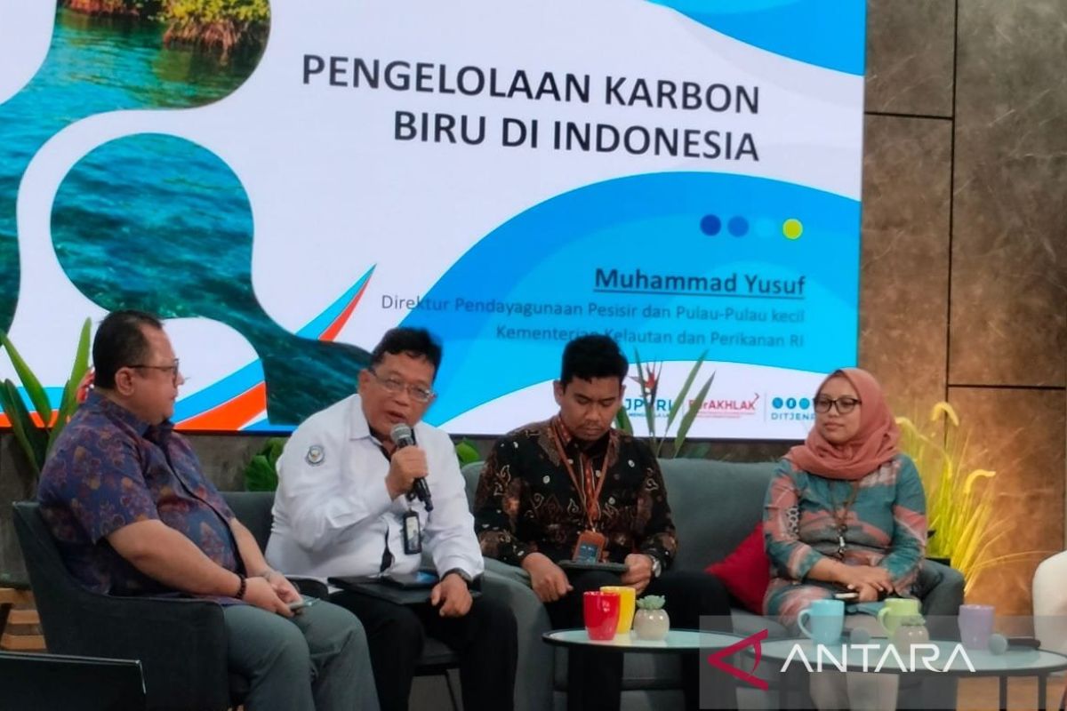 KKP: Potensi karbon biru Indonesia cukup besar dan diakui dunia