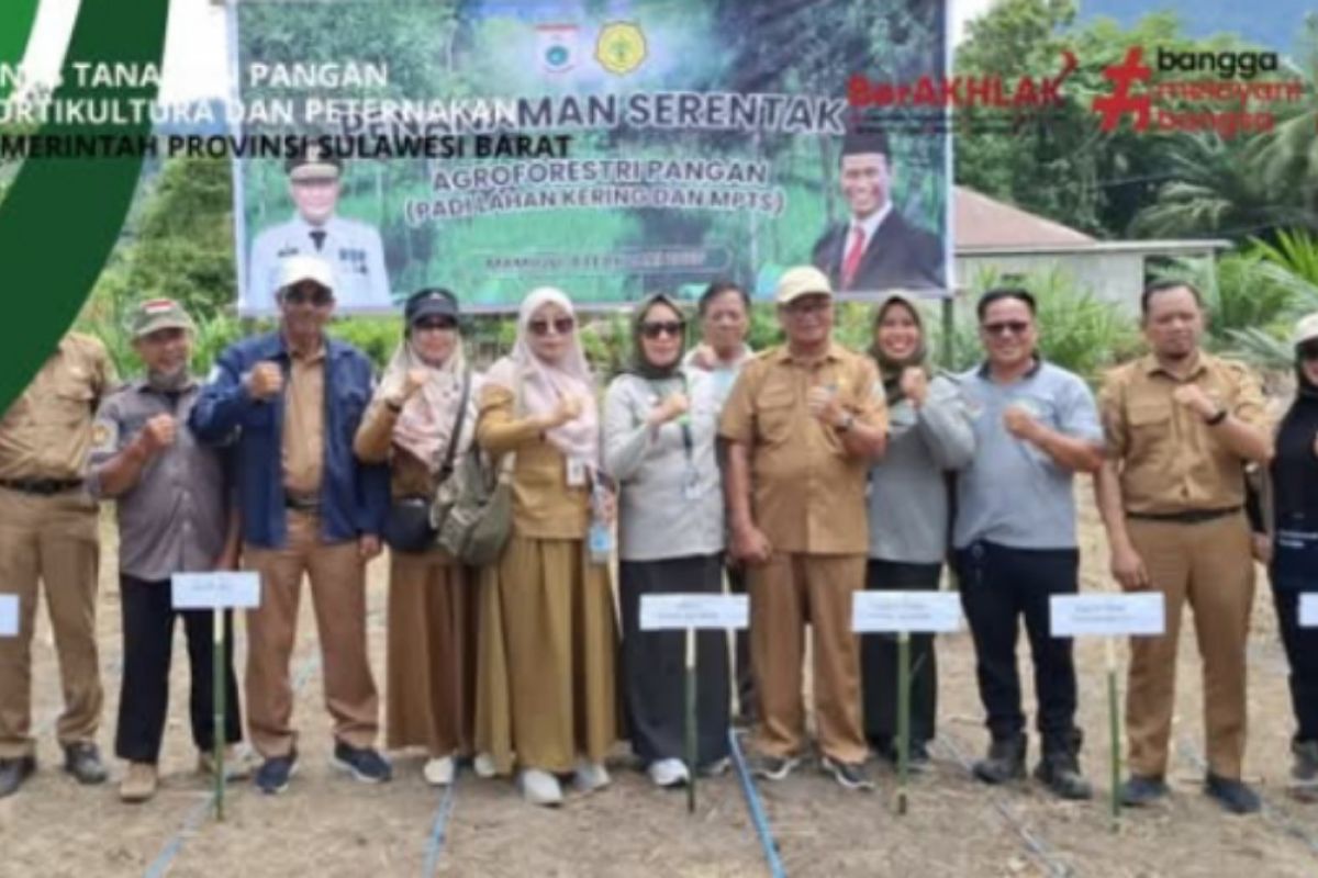 Pengembangan wanatani di Mamuju