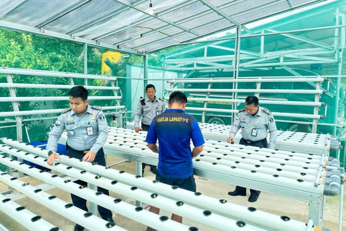 Lapas Tarakan Dirikan Greenhouse Hidroponik Untuk Mendukung Ketahanan Pangan Nasional