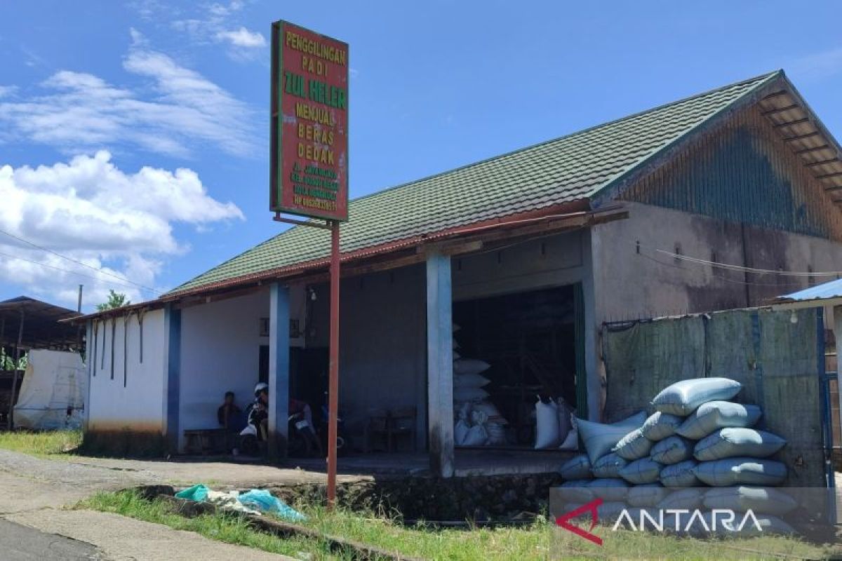 Pemkot Bengkulu pastikan harga beli gabah sesuai HPP Rp6.500 per kg