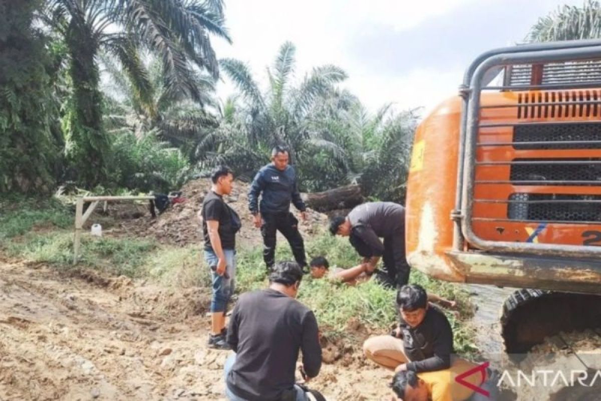 Polres Inhu amankan satu tersangka perambah hutan taman nasional