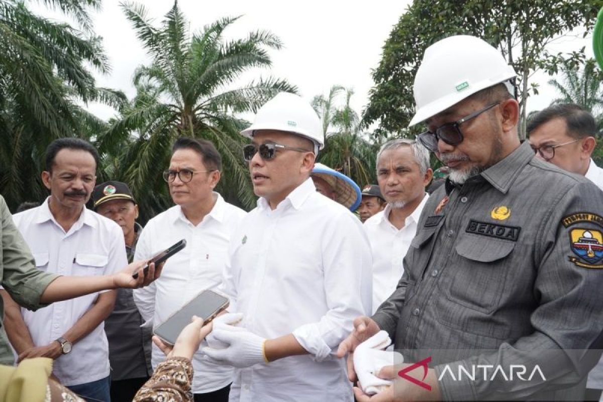 Komitmen wujudkan food security  PTPN IV PalmCo perluas program tanam padi PTPN ke Provinsi Jambi